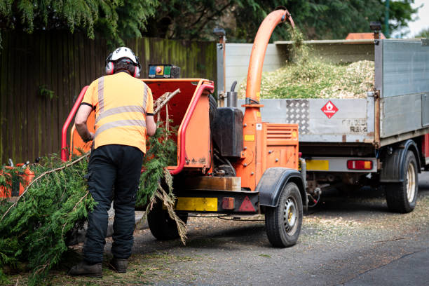 Best Grass Overseeding  in Northwest Harwich, MA